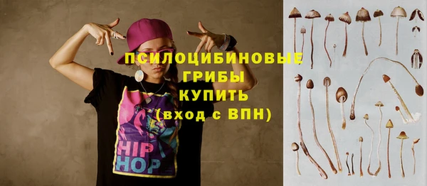 гидропоника Армянск