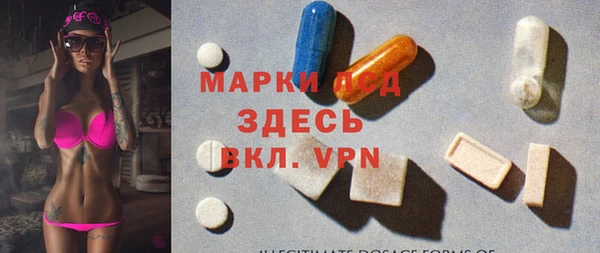 индика Новый Уренгой